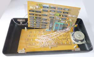 ZX-Spectrum Ленинград 48k в открытом виде